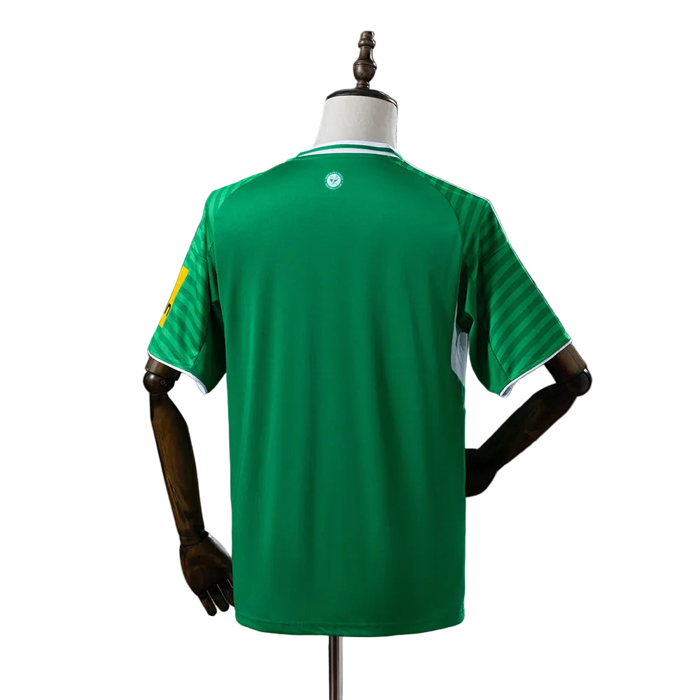 CAMISOLA DO NEWCASTLE 25/26 VERDE
