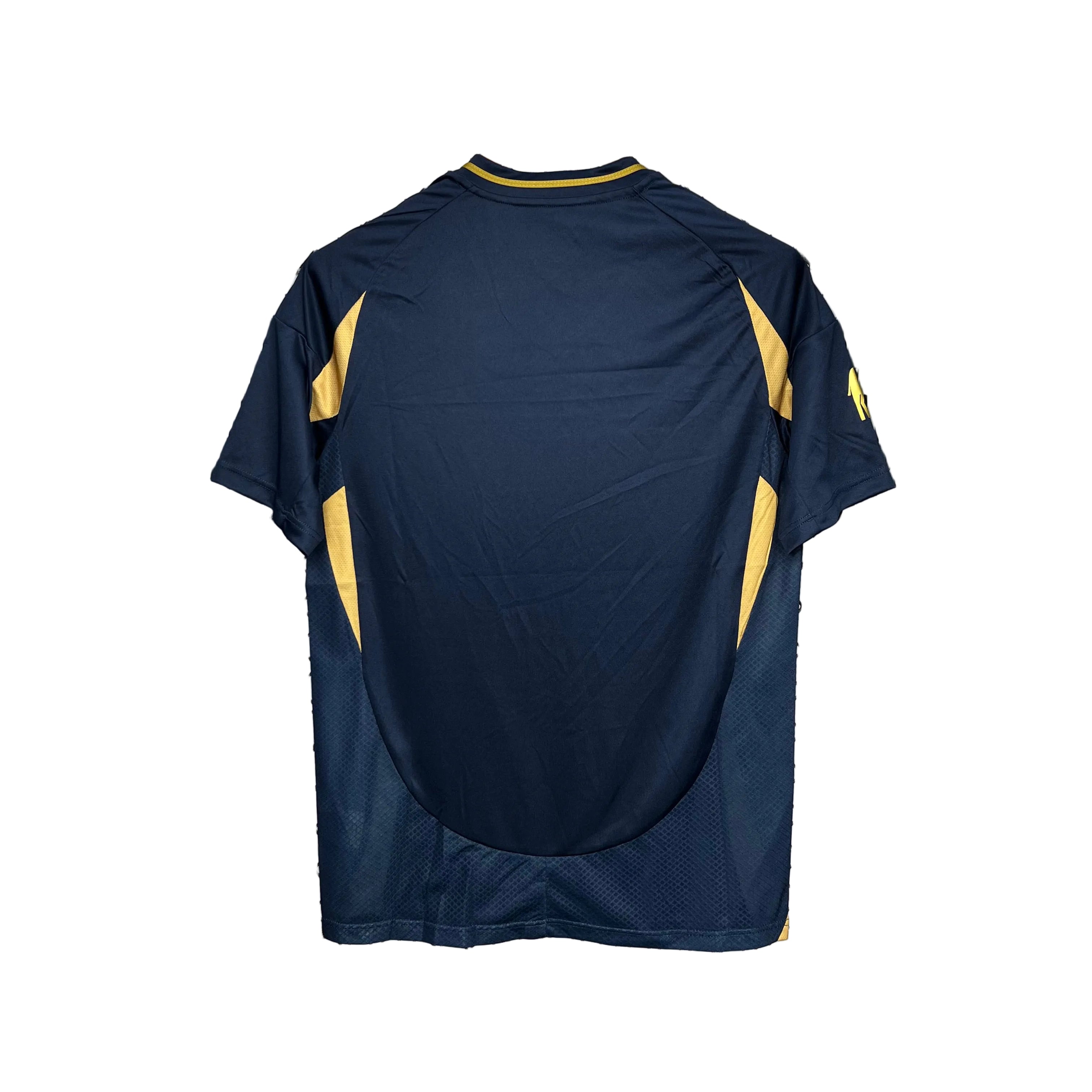 CAMISOLA DO AL NASSR 25/26 AZUL