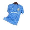 CAMISOLA DO PALMEIRAS 25/26 AZUL GUARDA REDES