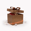 MISTERY BOX D'BRONZE [Camisolas Versão Adepto]